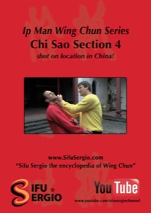 Sifu Sergio Iadarola - Chi Sao Section 4 - DVD