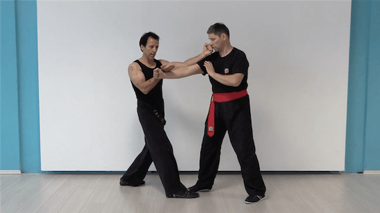 (Download Only!) - Mario Lopez - CRCA Testing 01 - Blue Belt - Partner Drills