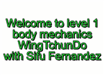 Sifu Fernandez - Wing Tchun Do -  Biomechanics Course Volume 1