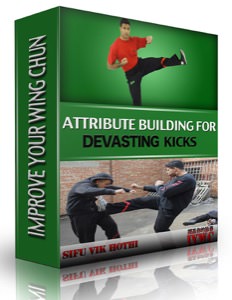 Vik Hothi - Attribute Building for Devastating Kicks