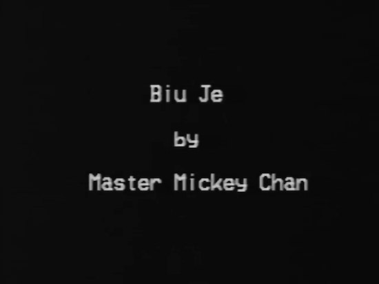 (Download Only) International Workshop Series Vol 06 - Micky Chan - Biu Ji