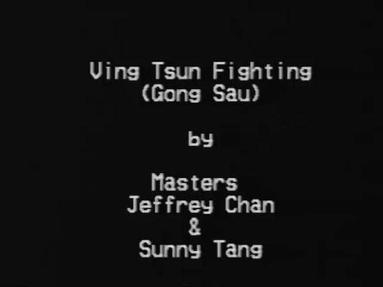 (Download Only) International Workshop Series Vol 11 - Sunny Tang - Gong Sau