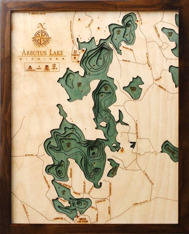 3D Arbutus Lake Nautical Real Wood Map Depth Decorative Chart