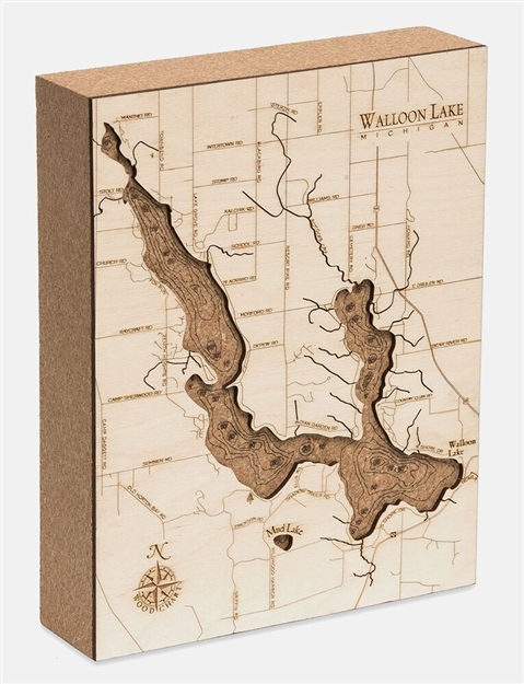 Walloon Lake Cork Map Nautical Topographic Art