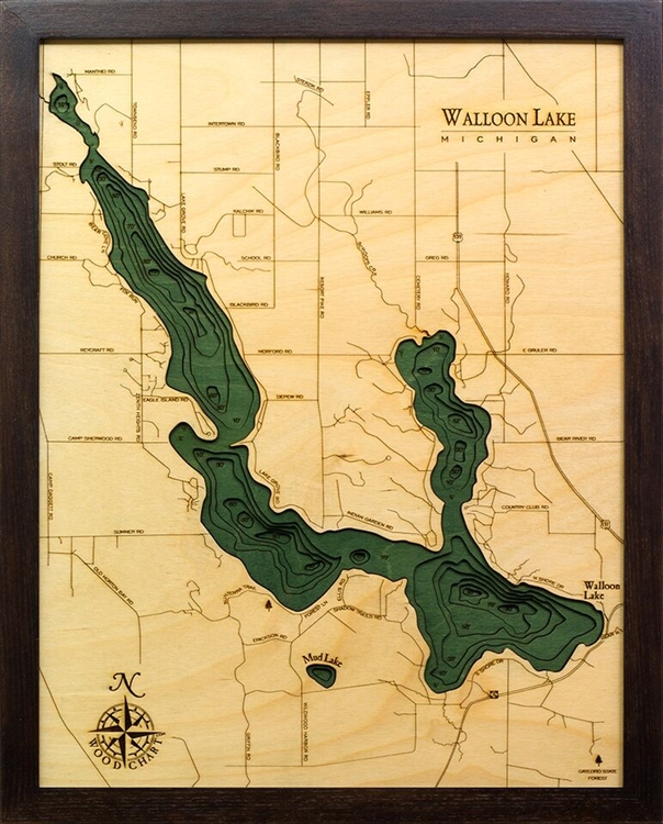 Walloon Lake Nautical Topographic Art: Bathymetric Real Wood Decorative Chart