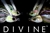 6th Sense Divine Custom Swim Jig