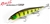 Duo Realis Jerkbait 120SP