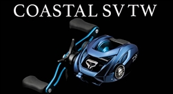Daiwa Costal SV TW 150 Baitcasting reel