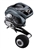 Daiwa Lexa TW 300 Baitcasting reel