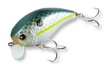 Evergreen CH-1 Crankbait