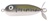 Heddon Tiny Torpedo