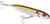 Heddon Rattlin' Spook Topwater Hardbaits