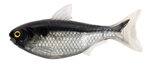 Live Target Shad Unrigged