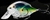 Koppers Baitball Series Threadfin Shad Square Bill