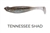 Megabass Hazedong Shad