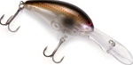 Norman DD22 crankbait