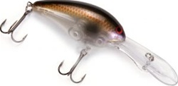 Norman DD22 crankbait