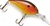 Norman Deep Little N crankbait