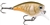 Rapala BXB06 Balsa Xtreme BX Brat Squarebill