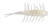 HideUp Coike Shrimp