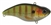 SPRO Aruku Shad Lipless Crankbait