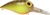 Storm Wiggle Wart