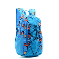 BACKPACK, COLLAPSIBLE, BUNGEE FRONT-SWEST DESIGNS