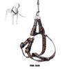 6 Foot, Small Pet Leash and Harness Set