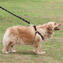 6 Foot Medium / Large Pet Leash and Harness Set