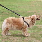 9 Foot, Medium / Large Pet Leash and Harness Set