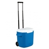 COLEMAN COOLER 16QT