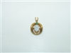 10k yellow Gold Opal Pendant
