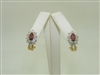 14k Yellow Gold Garnet Diamond Earring