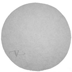 Bissell Secondary Filter