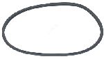 Bissell Cyclone Gasket 5770