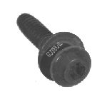 Motor Mounting Screw