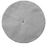 ProTeam Filter Disc HEPA For Dome 2 Pack