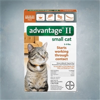 Advantage II Orange (Cats 1-9 lbs) 6 pack