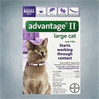 Advantage II Purple (Cats 9+ lbs) 6 pack