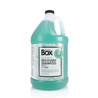 Bather Box Recovery Shampoo Gallon