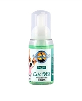 California Clean Fresh Breath Foam 8.oz