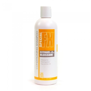 Special FX Citrus Blossom 50:1 Conditioning Shampoo 17.oz