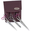 Geib Gator 10" Shears & Blender Set