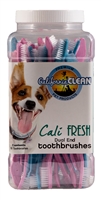 Cali Clean Pet Toothbrushes 50 count container