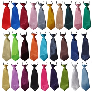 WAGS 10 ct. Assorted Large Dog Ties