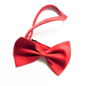 WAGS Red Necktie Reusable Bow Tie 15 ct.