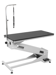 Big Z Lift Electric Table w/ Grooming Arm