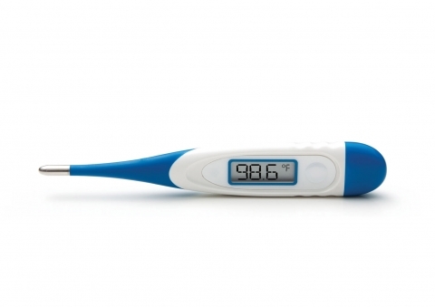Adtemp Digital Stick Thermometer