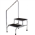 Clinton Industries Chrome Two-Step Step Stool with Handrail