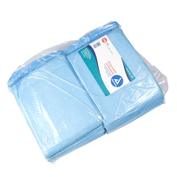 Disposable Underpads, 23x24 (31 gram) - 2/100/Cs